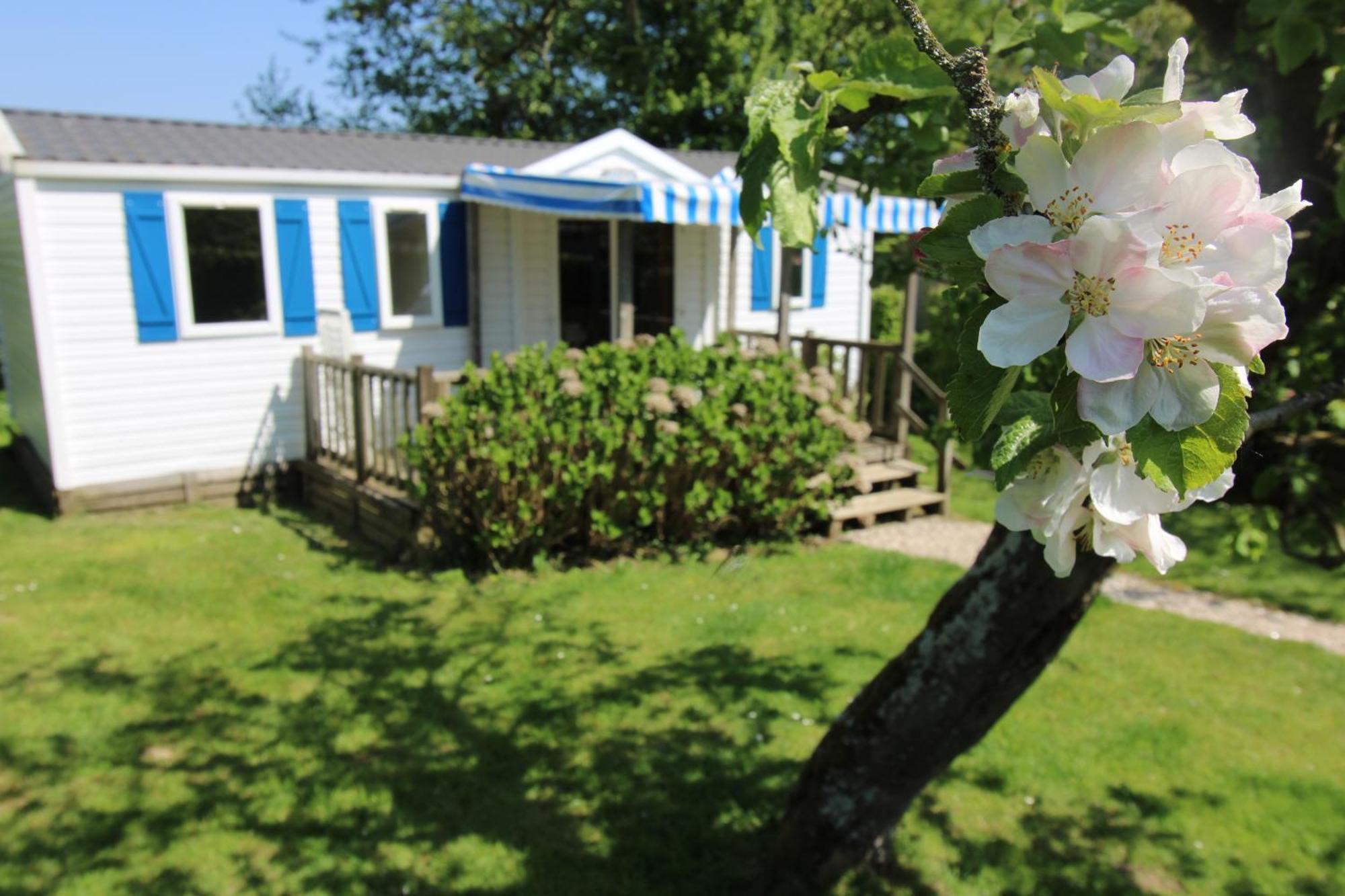 Camping Pommiers Des Trois Pays Licques Eksteriør billede