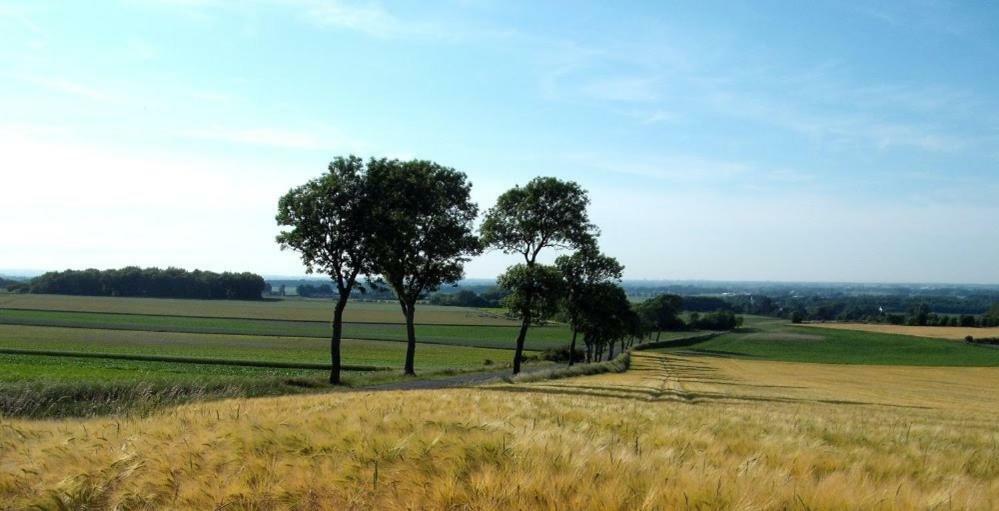 Camping Pommiers Des Trois Pays Licques Eksteriør billede
